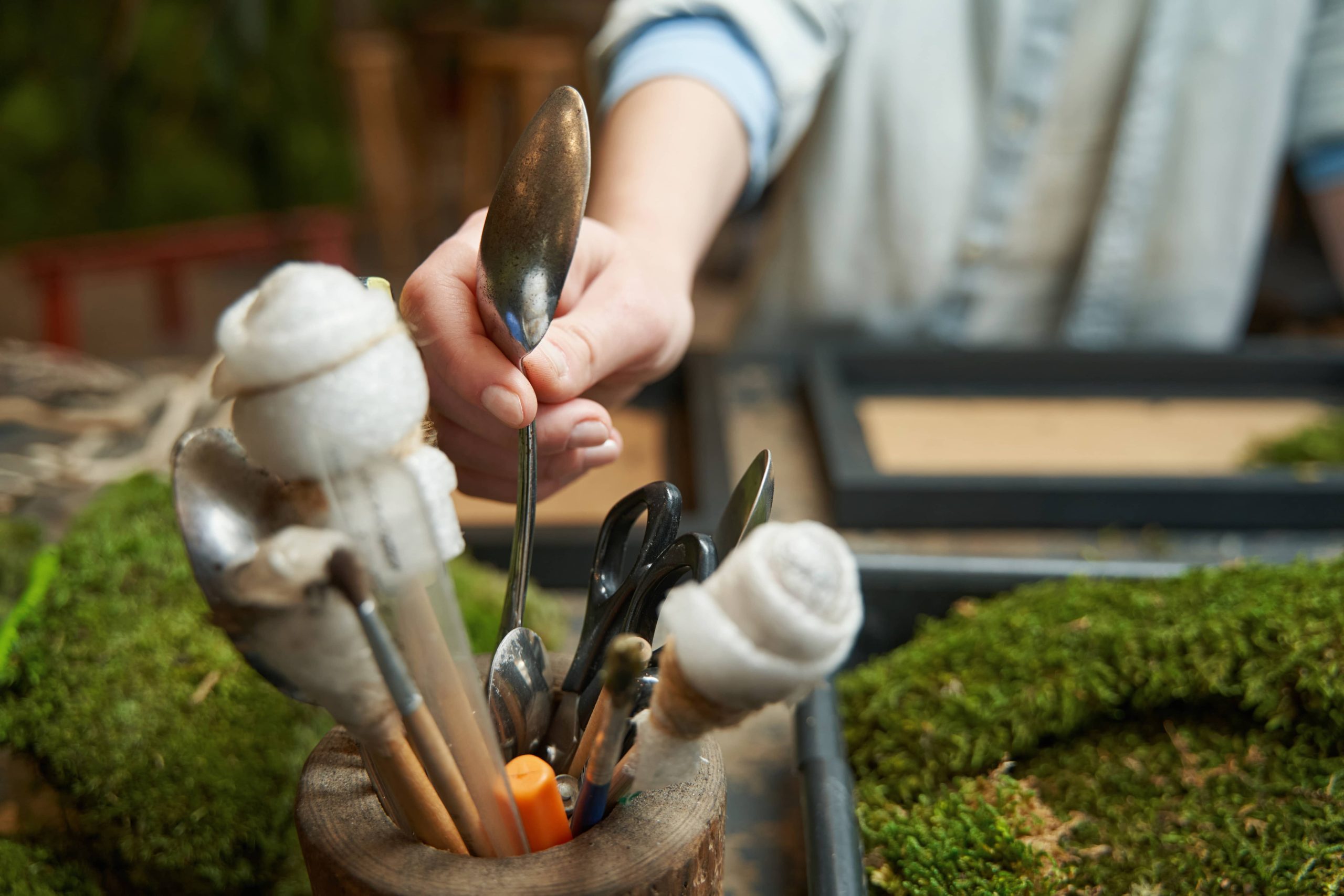 Erschaffen Sie Ihre eigenen Terrarien, um die Natur nach drinnen zu holen